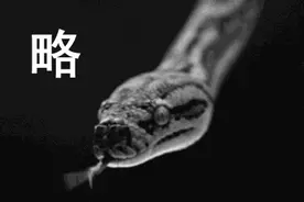 警惕！已有多人被咬！医生紧急提醒图片