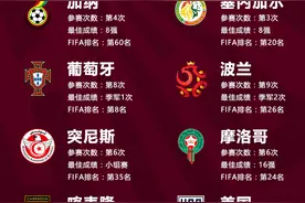 卡塔尔世界杯小组抽签：阿根廷荷兰“上上签”德西日组“死亡之组”图片