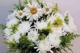 清明｜清明节，祝您快乐图片