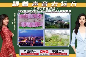 跟着声音去柳州，一首歌、一江水、一朵花、一碗粉图片