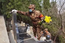 集中祭扫献万朵鲜花 济南市林场为每一位逝者送去哀思图片