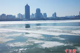 松花江哈尔滨段开始流冰图片