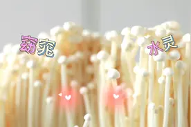 好品山东丨齐河："住别墅""躺吃躺睡" 看“科技咖”金针菇的奇妙之旅图片