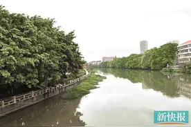 我相信，爷爷正在某处享受温暖夕阳图片