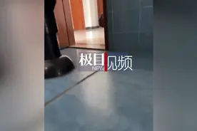 涉嫌偷窥女厕的南京高校男教师被停职，校网删除其个人简介图片