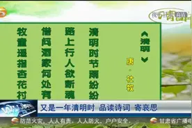 「短视频」又是一年清明时 品读诗词 寄哀思图片