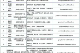 有购房补贴有编制！浙江新一波教师招聘来啦图片