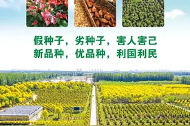 林草普法小课堂 | 林草种子生产经营图片