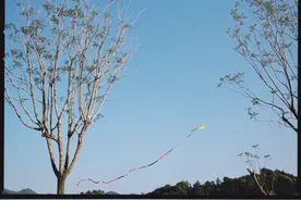 “战痘”10多年，试错无数次，才总结了这些心得图片