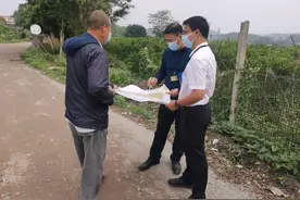 江门新会：“室组地”同向发力，多维度开展监督耕地“非粮化”整治图片