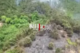 广西因扫墓引发多起山火，已有4人面临刑罚图片