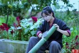 文化时评｜从李子柒被催更到看不厌《小森林》，让人着迷的只是乡村生活？图片