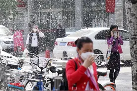 “雪”又飘！石家庄进入杨絮盛飞期图片