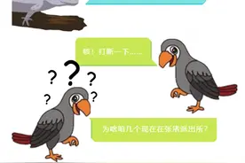 打着“异宠”幌子非法买卖野生动物，查图片