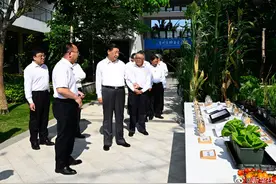 习近平：只有攥紧中国种子，才能端稳中国饭碗图片