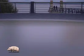 微信上新功能，“微信农场”上热搜！不仅能养猪羊，还能打蟑螂...图片