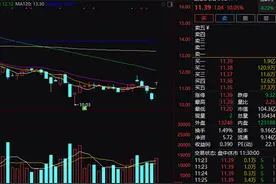 中签的投资者崩溃了！3只新股全军覆没：最狠的暴跌37%，中一签倒亏1.2万图片