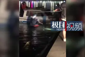 咸阳一救援队员跳河救人弄丢收养的猫，网友接力寻找3日无果图片
