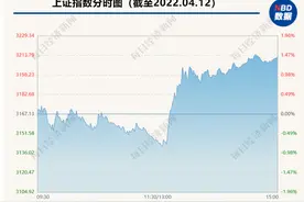 A股“大反攻”！酒店餐饮、旅游、机场板块集体大涨，3000亿免税龙头涨停图片