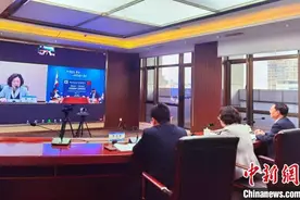 中韩专家“云上”共话农业技术合作图片