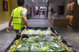 7小时！从产地到超市，一棵蔬菜的供应之旅图片