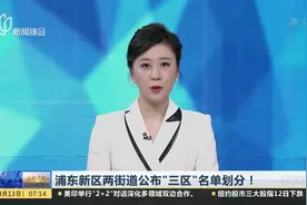 浦东新区两街道公布“三区”名单划分！视频封面