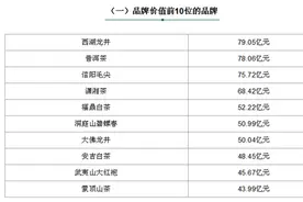 信阳毛尖位列第三 2022年中国茶叶区域公用品牌价值十强榜单揭晓图片