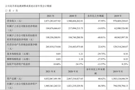 财报里的真相之消费行业｜乐歌股份：爆发式增长后盈利边界回调 自主品牌“出海”长风破浪会有时？图片