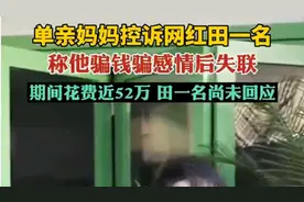单亲妈妈控诉田一名骗钱骗感情后失联，田一名方尚未回应图片