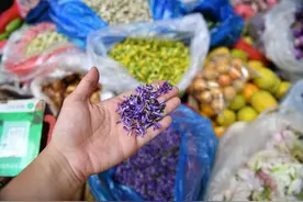 在百花齐放的季节做一枚“花吃”如何？图片