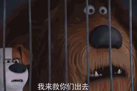 快醒醒，别一个劲给兔子喂胡萝卜了图片