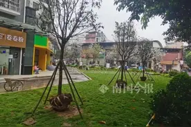 这是啥呀？柳州一小区“硬种”绿化草木，业主不干了……图片