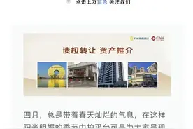 “广州圆”55.89亿元债权拍卖存疑？鸿达兴业持续债券违约图片