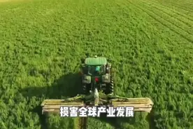 外部科技封锁怎么破，《人民日报》8000字长文说清楚了图片