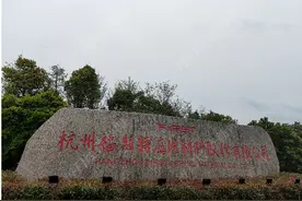 直击股东大会｜近800家机构持仓、去年股价涨84%，全球光伏胶膜龙头福斯特的远景与近虑图片