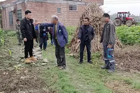 我为群众办实事|种植越界起矛盾，驻村书记来调和图片
