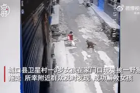 惊险！3岁女童在家门口玩耍，差点被猴子拖走……当地回应：正在抓捕伤人野猴图片