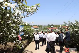 荣山旭水 灵秀乡村——荣县获评“四川省乡村振兴先进县”背后的故事图片