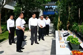种子是大事，习近平强调要“久久为功”图片
