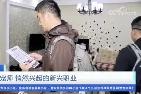 花3000元去请一位寻宠师，你愿意吗？图片
