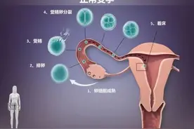 预告丨怀不上？应该查什么？图片