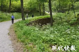 “老母猪沟”火了！南京还有这些网红地名图片