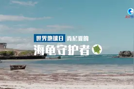 全球连线丨“龟”途漫漫，“海”好有他们守护图片