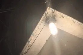 【心烦蚁乱】“水蚁大军”出没请注意！不可以用杀虫剂？这3招让它们速速撤退→图片