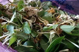 花朵不但能看还能喝，不同花的功效你了解吗？图片