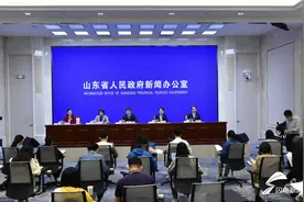 权威发布｜山东确立378项知识产权公共服务事项 将出台动态管理办法图片
