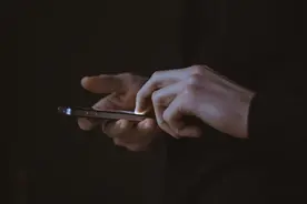一只羊搅动的两个小程序图片