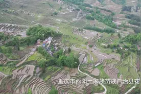 “花田贡米”之乡的旱地“变身”记视频封面