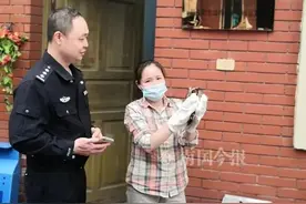 柳州女子山林游玩发现受伤“小萌物”，一查发现大有来头图片