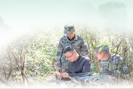 护好漓江生态屏障（美丽中国）图片